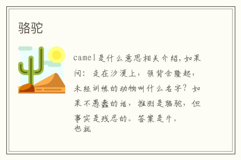 骆驼文章配图
