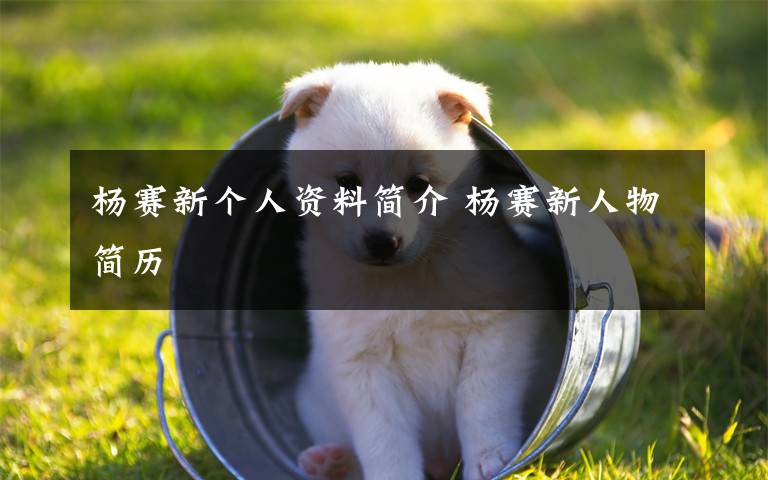 杨赛新个人资料简介 杨赛新人物简历文章配图