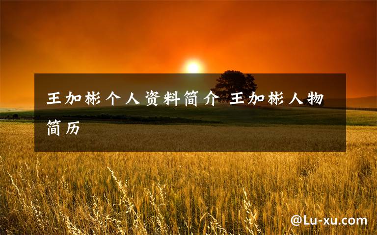 王加彬个人资料简介 王加彬人物简历文章配图