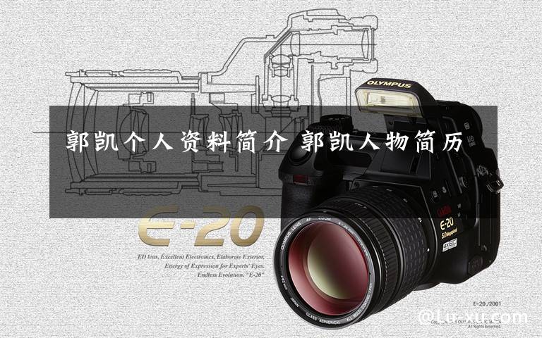 郭凯个人资料简介 郭凯人物简历文章配图