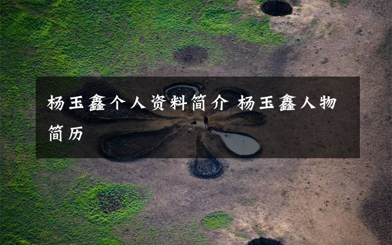 杨玉鑫个人资料简介 杨玉鑫人物简历文章配图