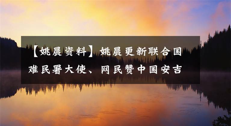 【姚晨资料】姚晨更新联合国难民署大使、网民赞中国安吉丽娜朱莉