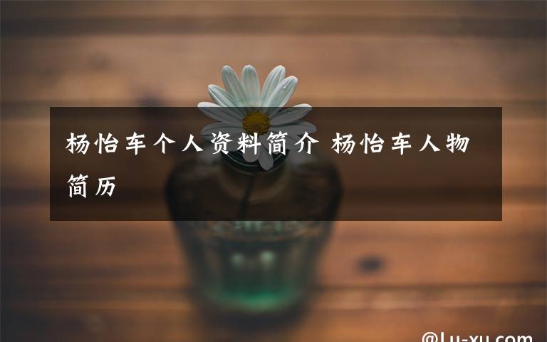 杨怡车个人资料简介 杨怡车人物简历文章配图