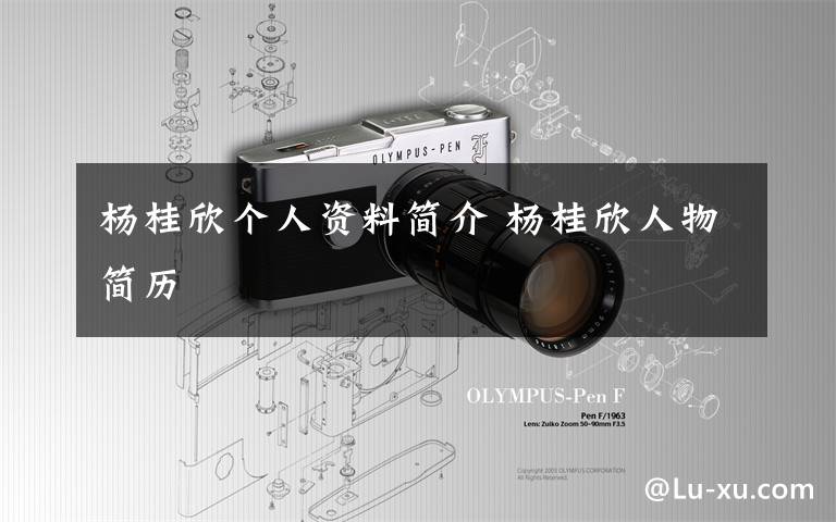 杨桂欣个人资料简介 杨桂欣人物简历文章配图