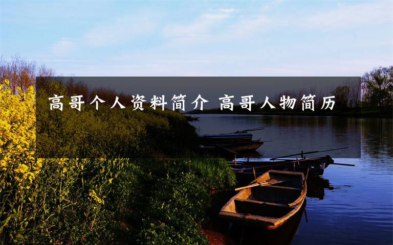 高哥个人资料简介 高哥人物简历文章配图
