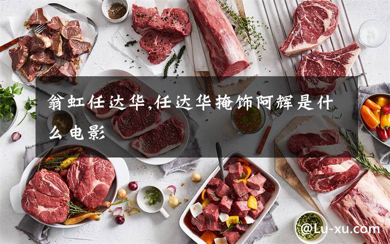 翁虹任达华,任达华掩饰阿辉是什么电影