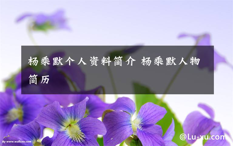 杨乘默个人资料简介 杨乘默人物简历文章配图