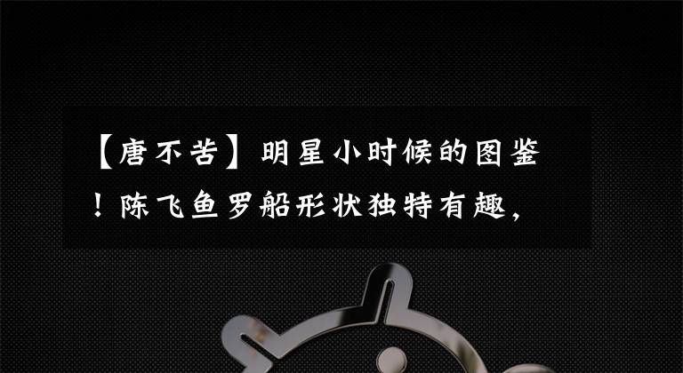 【唐不苦】明星小时候的图鉴！陈飞鱼罗船形状独特有趣，大从流域飞景田小美女