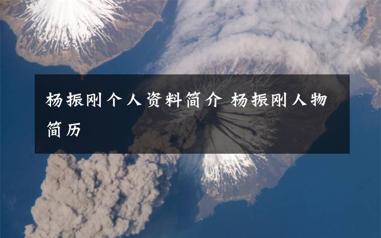 杨振刚个人资料简介 杨振刚人物简历文章配图