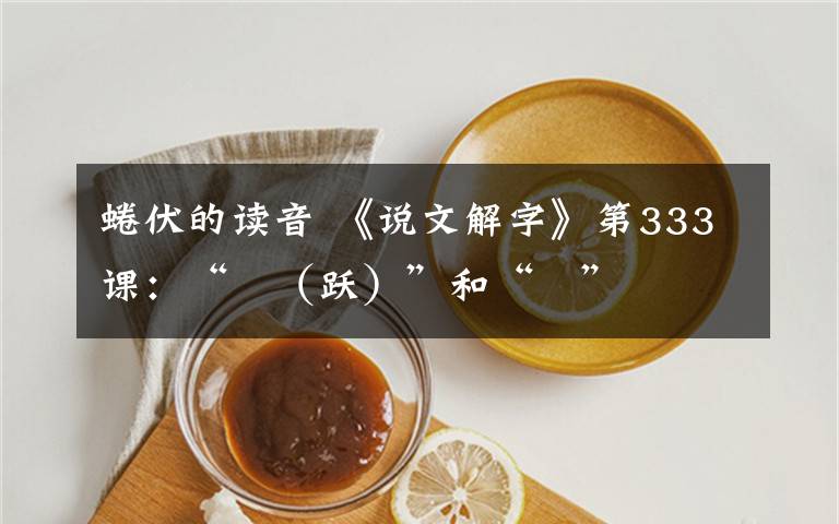 蜷伏的读音 《说文解字》第333课：“躍（跃）”和“跧”文章配图