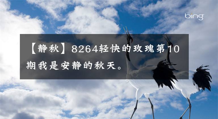 【静秋】8264轻快的玫瑰第10期我是安静的秋天。