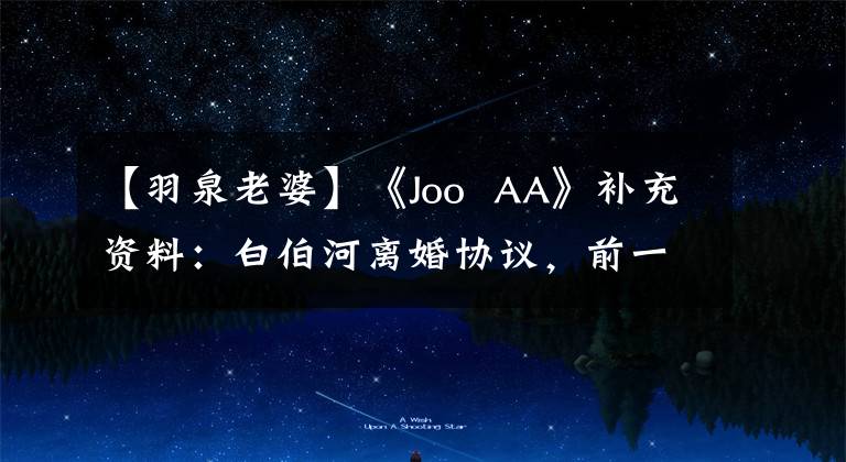 【羽泉老婆】《Joo  AA》补充资料：白伯河离婚协议，前一天丈夫还夸口说瞬间打了脸。