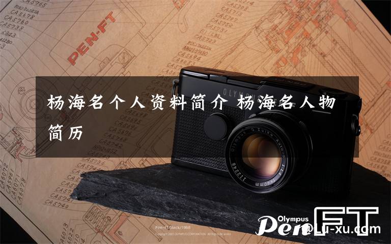杨海名个人资料简介 杨海名人物简历文章配图