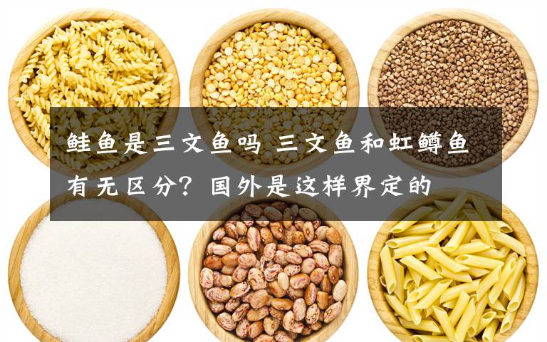 鲑鱼是三文鱼吗 三文鱼和虹鳟鱼有无区分？国外是这样界定的