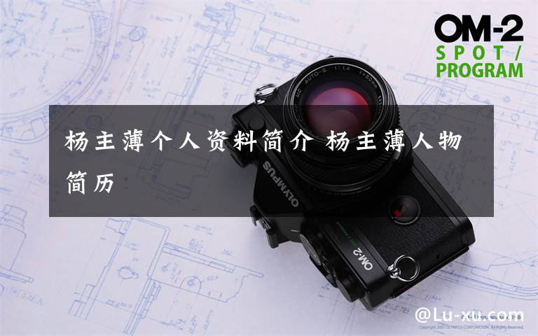 杨主薄个人资料简介 杨主薄人物简历文章配图