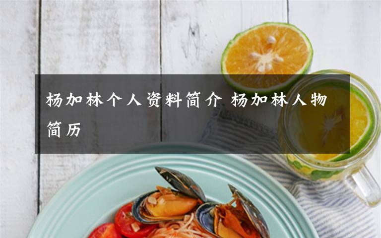杨加林个人资料简介 杨加林人物简历