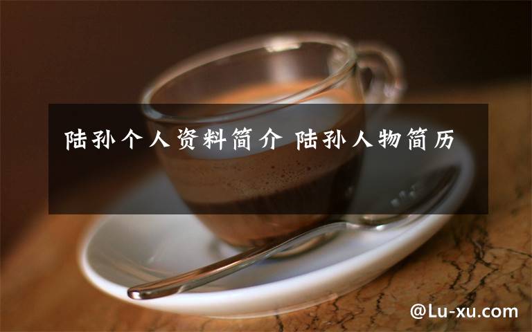 陆孙个人资料简介 陆孙人物简历文章配图