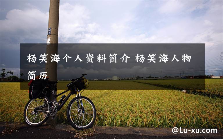 杨笑海个人资料简介 杨笑海人物简历文章配图