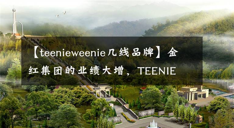 【teenieweenie几线品牌】金红集团的业绩大增，TEENIE  WEENIEN已经成为销售负责人。