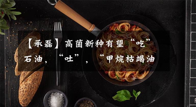 【承磊】高菌新种有望“吃”石油，“吐”，“甲烷枯竭油”，“恢复生机”。文章配图