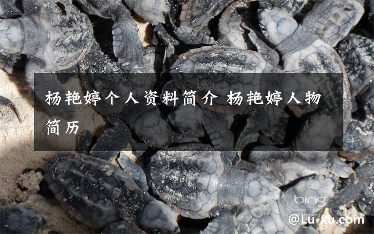 杨艳婷个人资料简介 杨艳婷人物简历文章配图