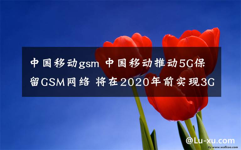 中国移动gsm 中国移动推动5G保留GSM网络 将在2020年前实现3G退网