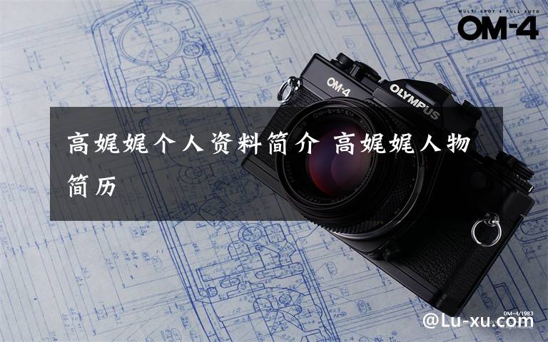 高娓娓个人资料简介 高娓娓人物简历文章配图