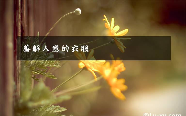 善解人意的衣服文章配图