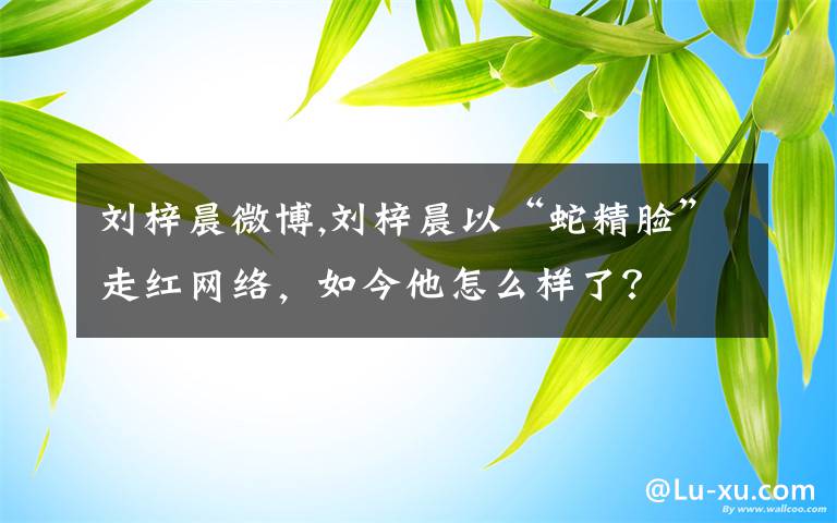 刘梓晨微博,刘梓晨以“蛇精脸”走红网络，如今他怎么样了？