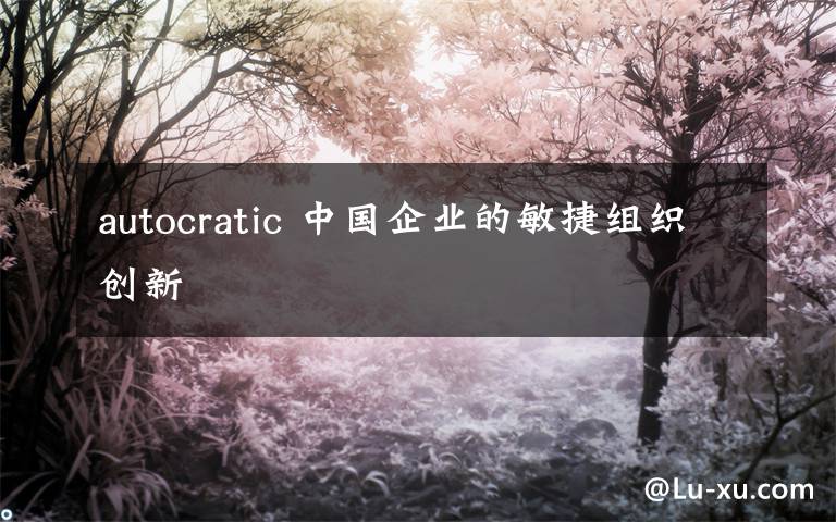 autocratic 中国企业的敏捷组织创新