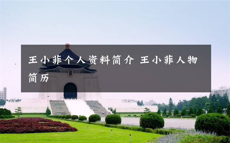 王小菲个人资料简介 王小菲人物简历文章配图