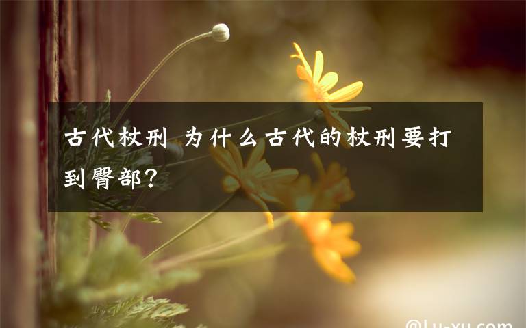 古代杖刑 为什么古代的杖刑要打到臀部？文章配图