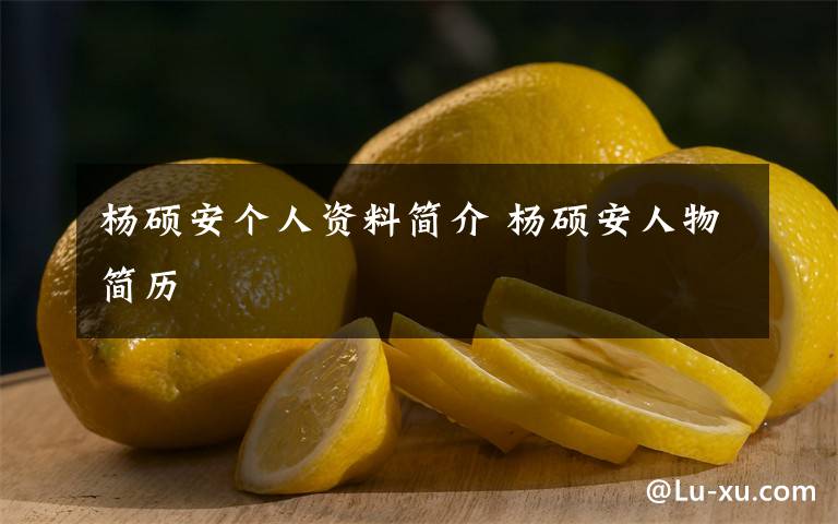 杨硕安个人资料简介 杨硕安人物简历文章配图