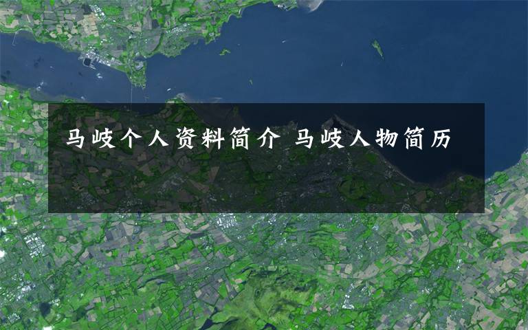 马岐个人资料简介 马岐人物简历文章配图