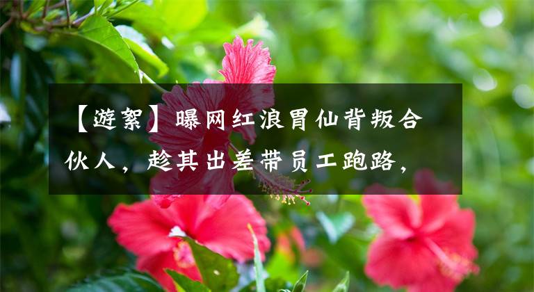 【游絮】曝网红浪胃仙背叛合伙人，趁其出差带员工跑路，公司资源都被挖空文章配图