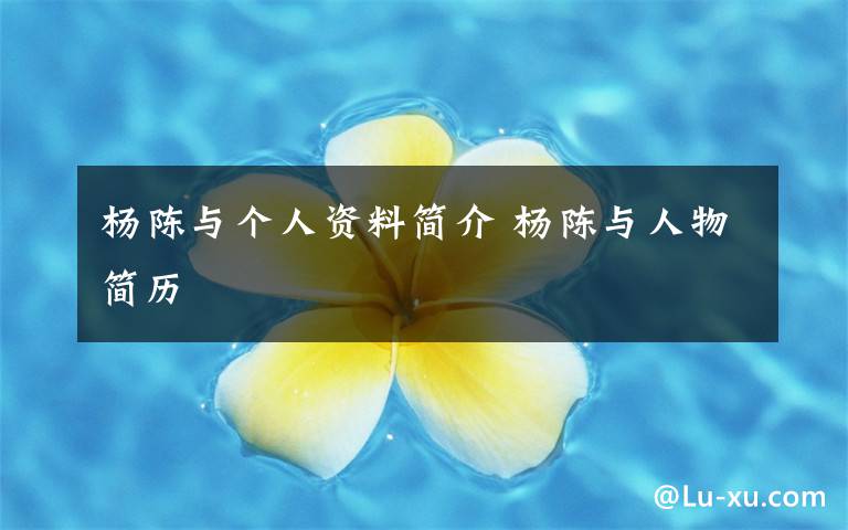 杨陈与个人资料简介 杨陈与人物简历文章配图