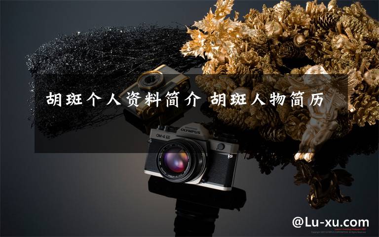 胡斑个人资料简介 胡斑人物简历文章配图
