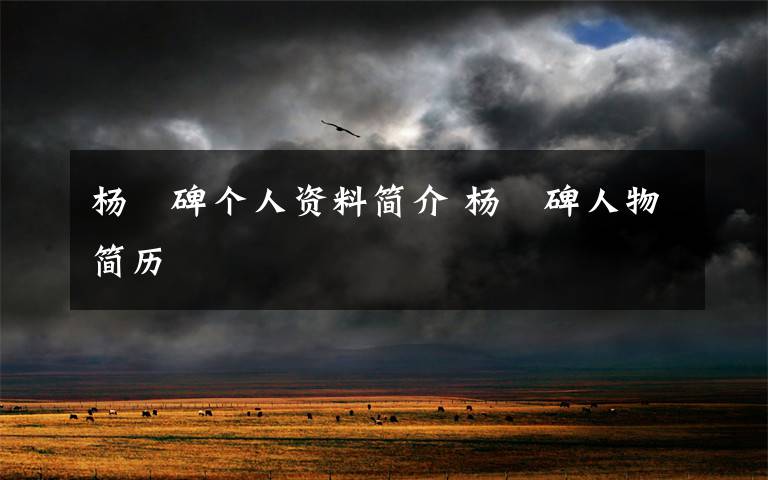 杨珣碑个人资料简介 杨珣碑人物简历文章配图