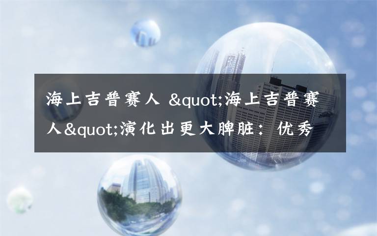 海上吉普赛人 "海上吉普赛人"演化出更大脾脏：优秀自由潜水者必备文章配图