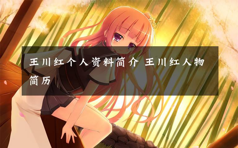 王川红个人资料简介 王川红人物简历文章配图