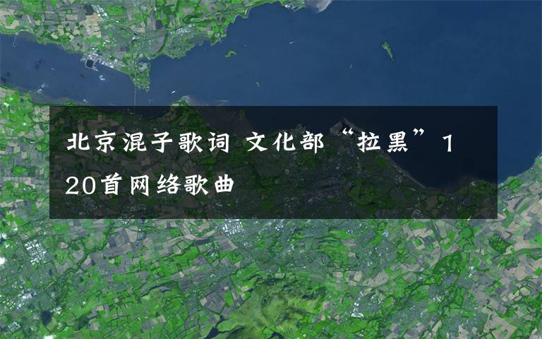 北京混子歌词 文化部“拉黑”120首网络歌曲