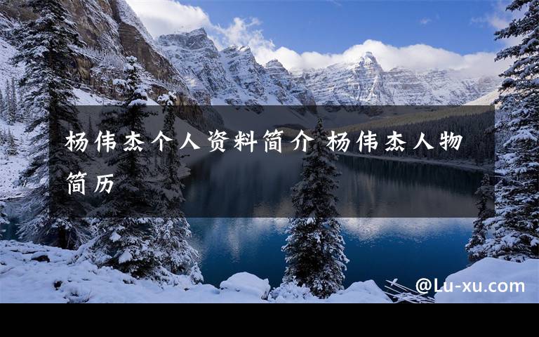 杨伟杰个人资料简介 杨伟杰人物简历文章配图