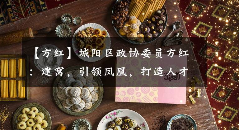 【方红】城阳区政协委员方红：建窝，引领凤凰，打造人才高地，推进人才政策创新发展。文章配图