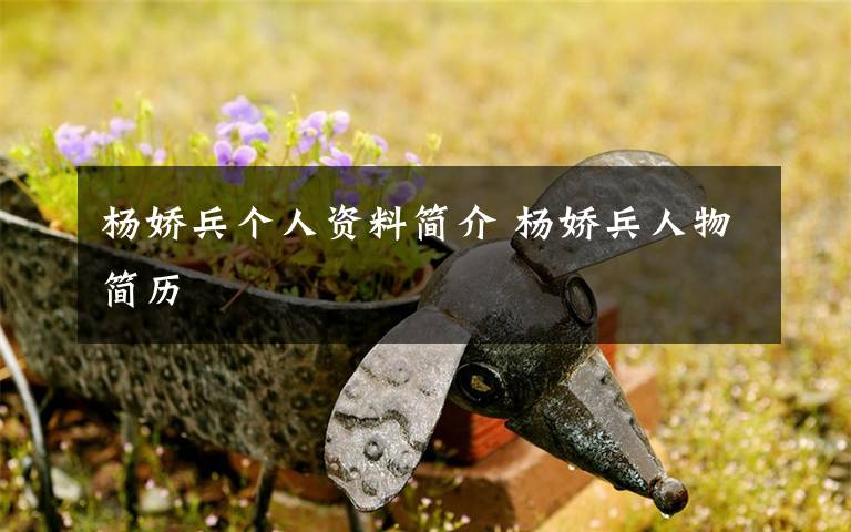 杨娇兵个人资料简介 杨娇兵人物简历文章配图
