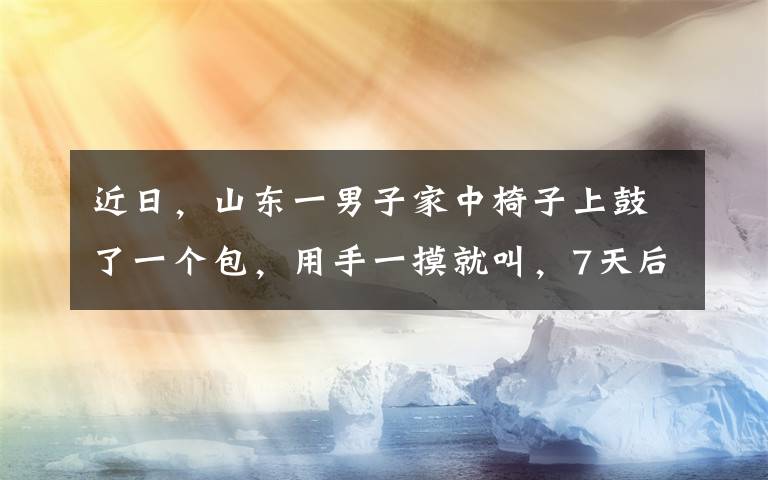 近日，山东一男子家中椅子上鼓了一个包，用手一摸就叫，7天后飞出一物令人傻眼。