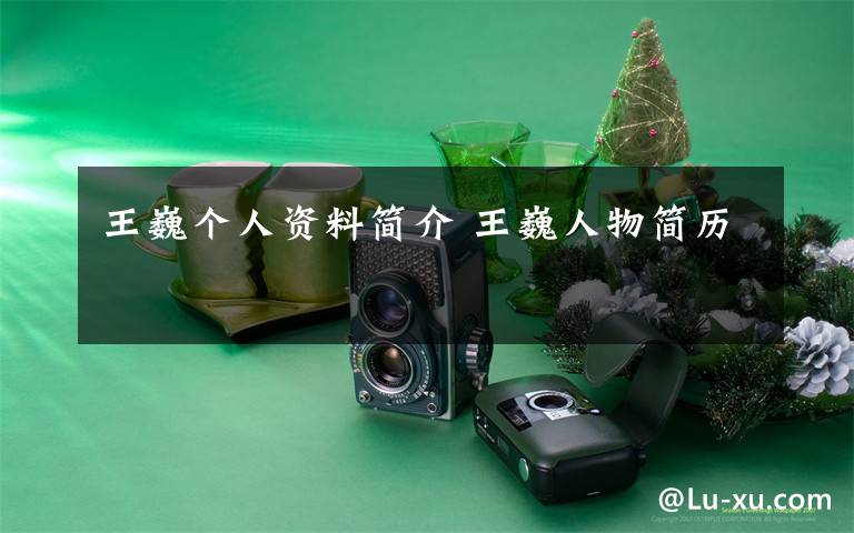 王巍个人资料简介 王巍人物简历文章配图