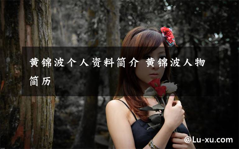 黄锦波个人资料简介 黄锦波人物简历文章配图