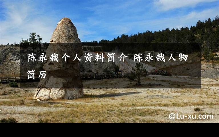陈永栽个人资料简介 陈永栽人物简历文章配图