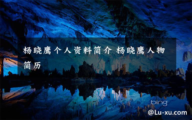 杨晓鹰个人资料简介 杨晓鹰人物简历文章配图
