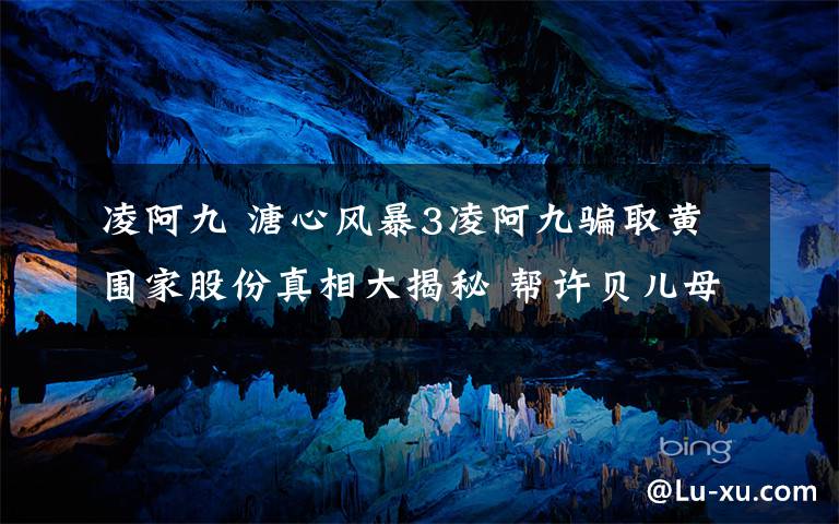 凌阿九 溏心风暴3凌阿九骗取黄围家股份真相大揭秘 帮许贝儿母亲反对火姐文章配图